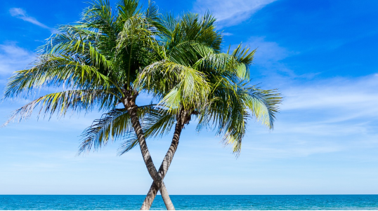 Vacances Bellefeuille à St-Jérôme : découvrez des destinations exotiques, des séjours uniques et des conseils de voyage personnalisés pour vos vacances de rêve